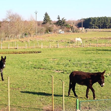 Chambre En Campagne A 15 Min Circuit ! Bed & Breakfast Change  ภายนอก รูปภาพ