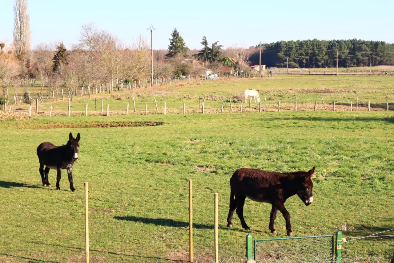 Chambre En Campagne A 15 Min Circuit ! Bed & Breakfast Change  ภายนอก รูปภาพ